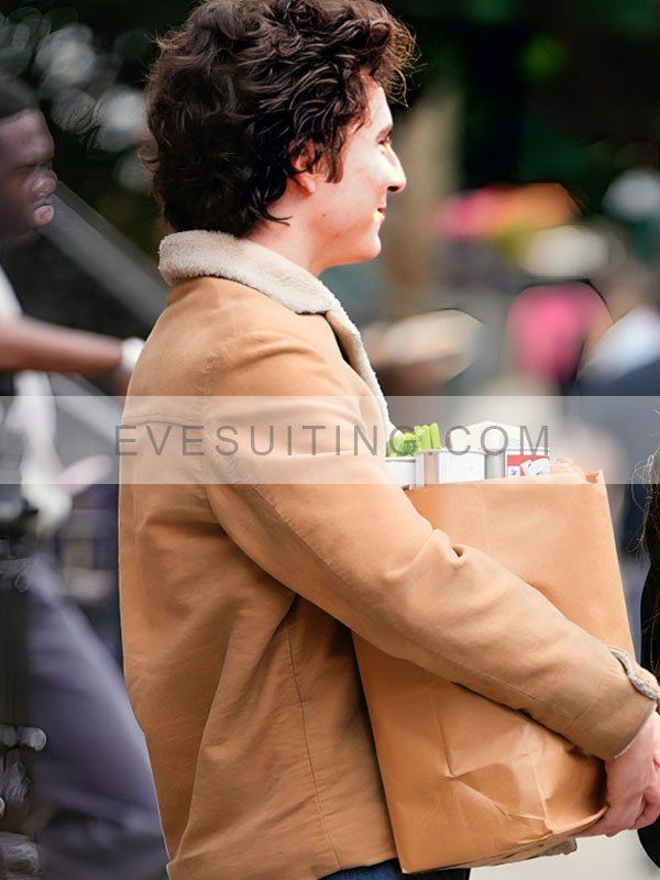 Bob Dylan Camel Leather Jacket