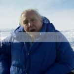 David Attenborough Planet Earth II Puffer Jacket